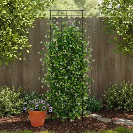 Metal Garden Trellis Set of 2 for Climbing Plants, 193 x 58 cm, Black
