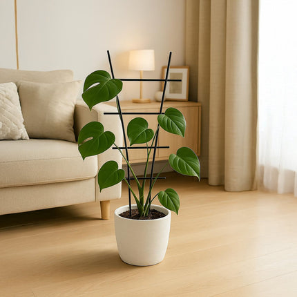 Set spalier metalic pentru plante - Suporturi durabile pentru cățărare
