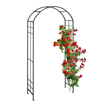 Metal Rose Arch in Black