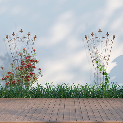 Set spalier metalic - Design Fleur-de-Lis, Suport pentru plante cățărătoare