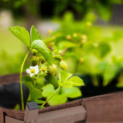 Jardiniera metalică cu căptușeală preformată