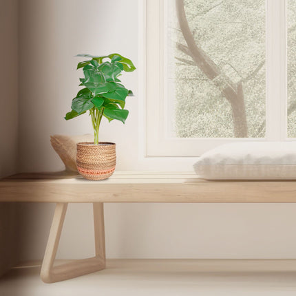 Set de 2 plante artificiale Monstera