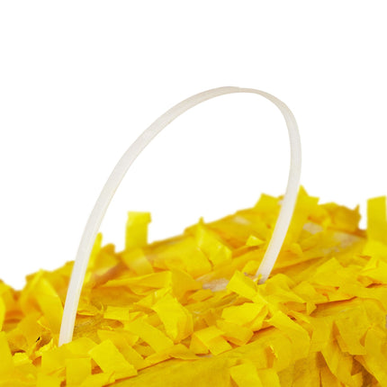 Ziua de naștere pinata număr