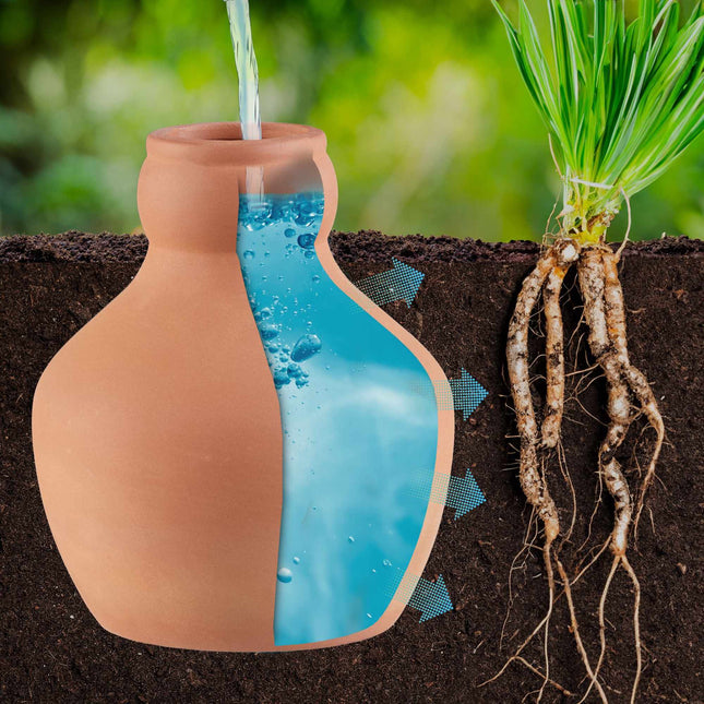 Ollas pentru irigare 550 ml pachet de 3