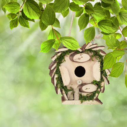 Cutie ornamentală cu mușchi