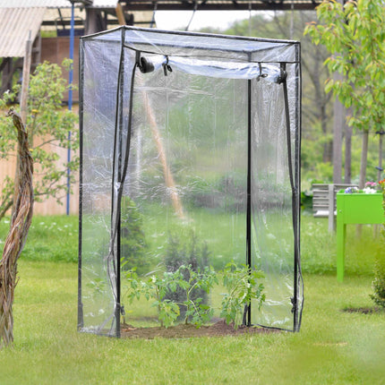 Seră de tomate din PVC