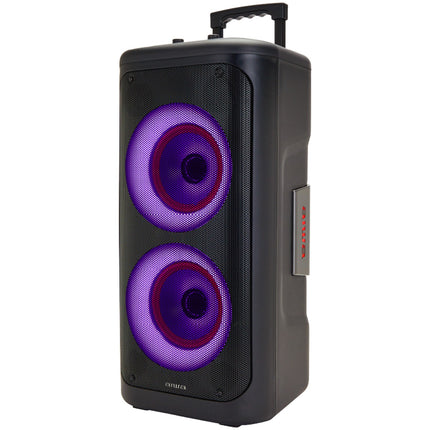 Party speaker with microphone