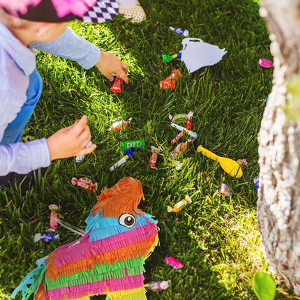 Măgar Pinata
