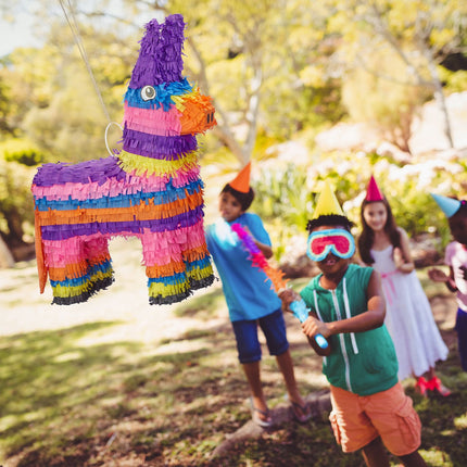 Pinata Donkey