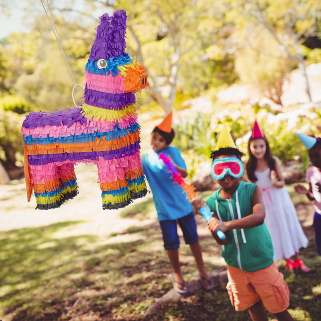 Pinata Donkey