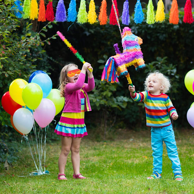 Accesorii Pinata