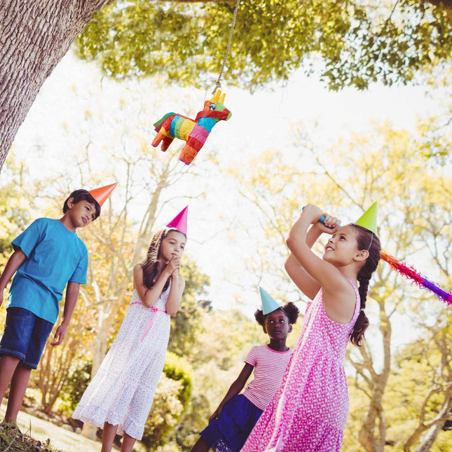 Magar Pinata colorat