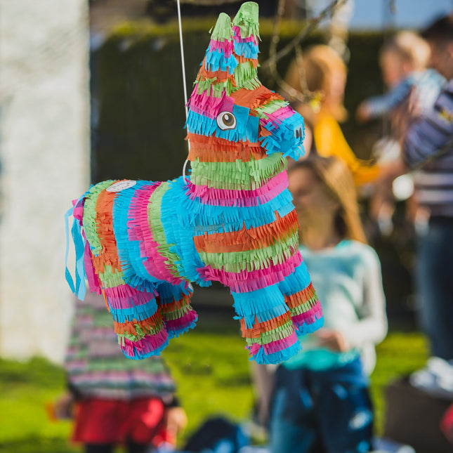 Pinata magar multicolor