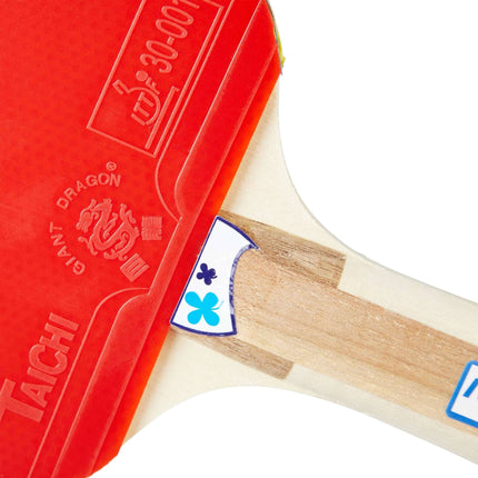 Set racheta de ping pong cu plasa