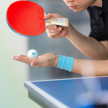 Set racheta de ping pong cu plasa