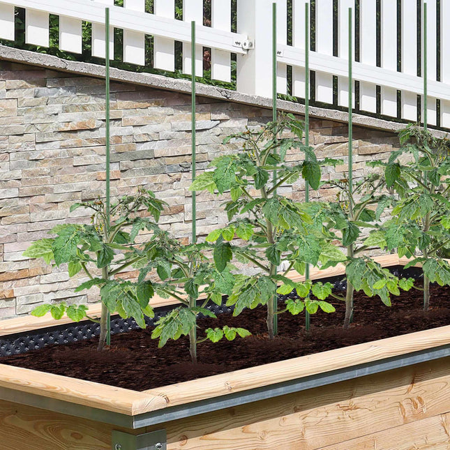 Bastoane de plantat 100 cm la pachet de 10