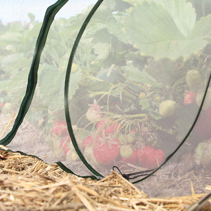 Tunel de plantare 3,5 m cu functie pop-up