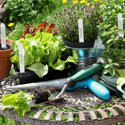 Etichete pentru plante, pachet de 300
