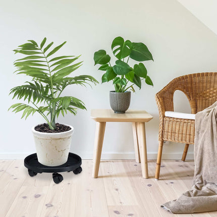 Rolă de plante din plastic Set mare de 2