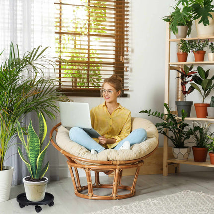 Rolă de plante din plastic Set mare de 2