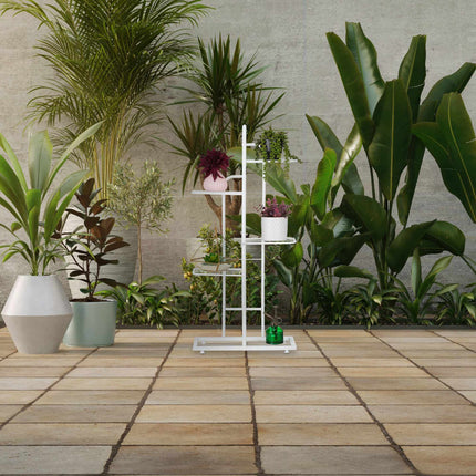 Stand de plante 5 nivele