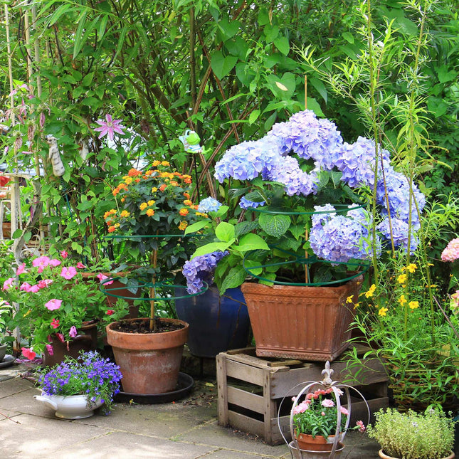 Suport pentru plante 39 cm set de 6