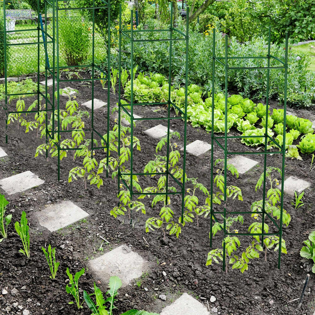 Set suport plante de 4.120 cm