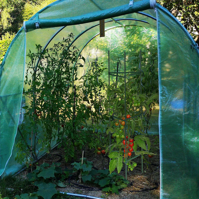 Set suport plante de 4.120 cm