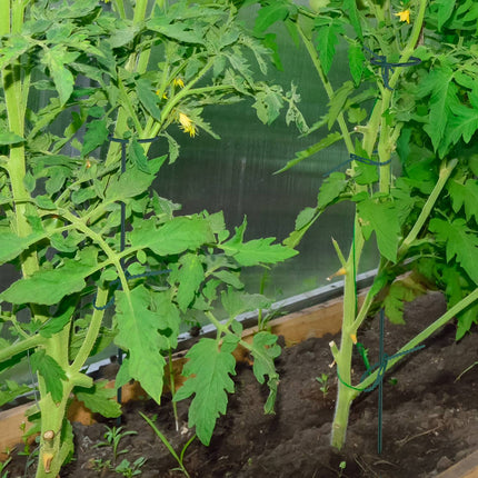Suporturi pentru plante din metal, pachet de 6