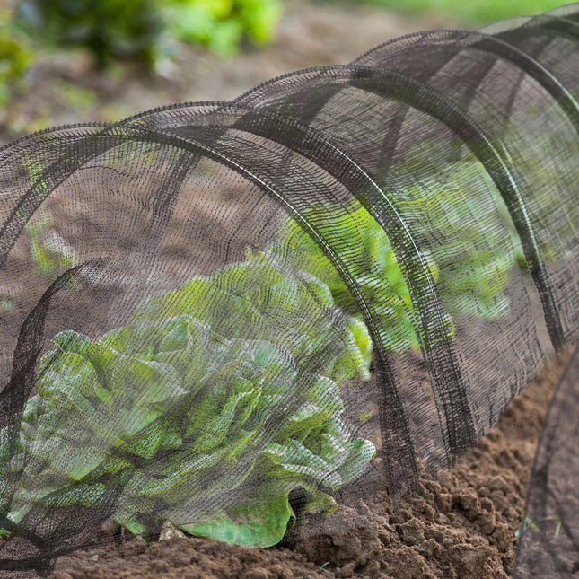 Tunelul plantelor de 3 m în seturi de 2