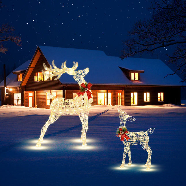 Reni de Crăciun pre-iluminați, 50 LED-uri, țăruși de exterior