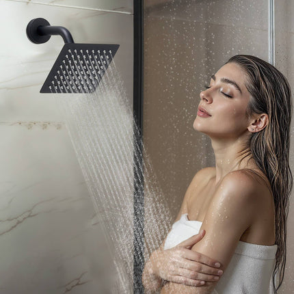 Rain Shower System, Matte Black, Dual Head, Handheld