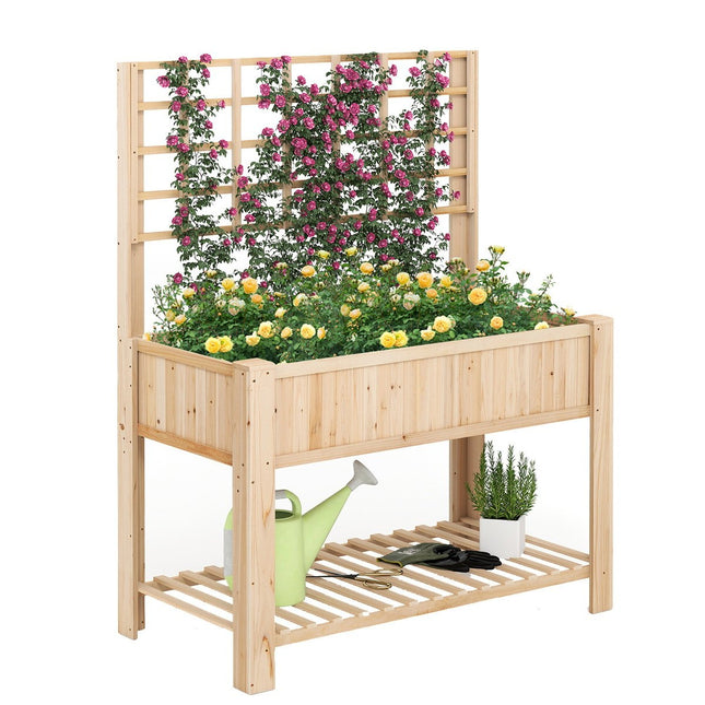 Pat de gradina inaltat cu spalier si drenaj, 116x59x150 cm
