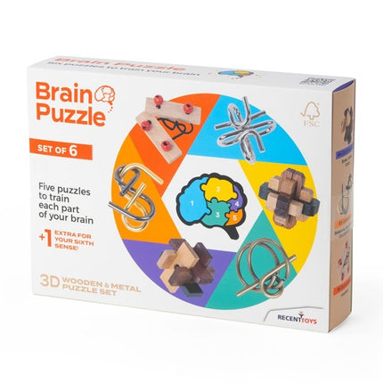 Recent Toys Set de puzzle-uri pentru minte