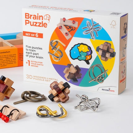 Recent Toys Set de puzzle-uri pentru minte
