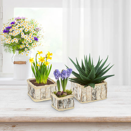 Rectangular flower pot - set of 3