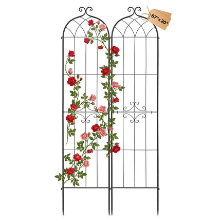 Rose Garden Trellis 2-Pack, 220 x 52.5 cm, Steel