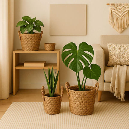 Set de 3 ghivece rotunde pentru plante - Design din stuf căptușit cu folie