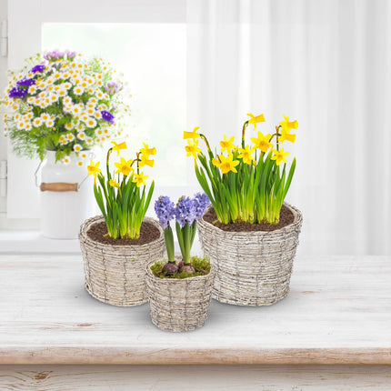 Ghiveci rotund pentru flori - set de 3