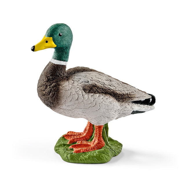 Schleich Farm World Rățoi