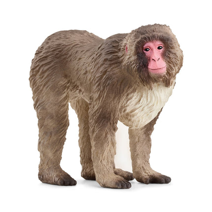 Schleich Wild Life Macac japonez