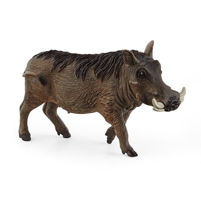 Schleich Wild Life Facocer