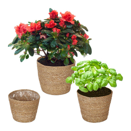 Set de jardiniere cu iarbă de mare - 3 ghivece de interior din răchită