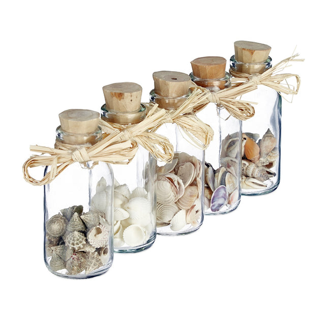 Scoici în sticle de sticlă - Coastal Home Decor