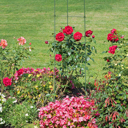 Set of 6 Plant Supports 90 cm