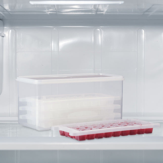 Set of ice cube molds with box and lid
