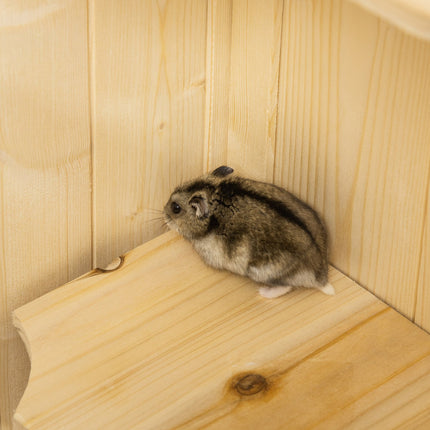 Small animal cage with mesh roof; 5-level Wood Hutch