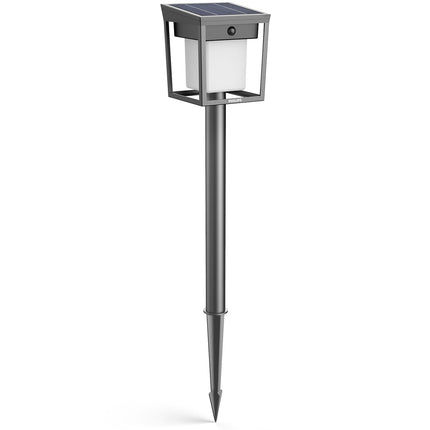 Solar LED Garden Path Light, Dual Brightness, Black