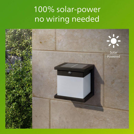 Lampă solară de perete cu senzor de mișcare – Neagră, LED, IP44
