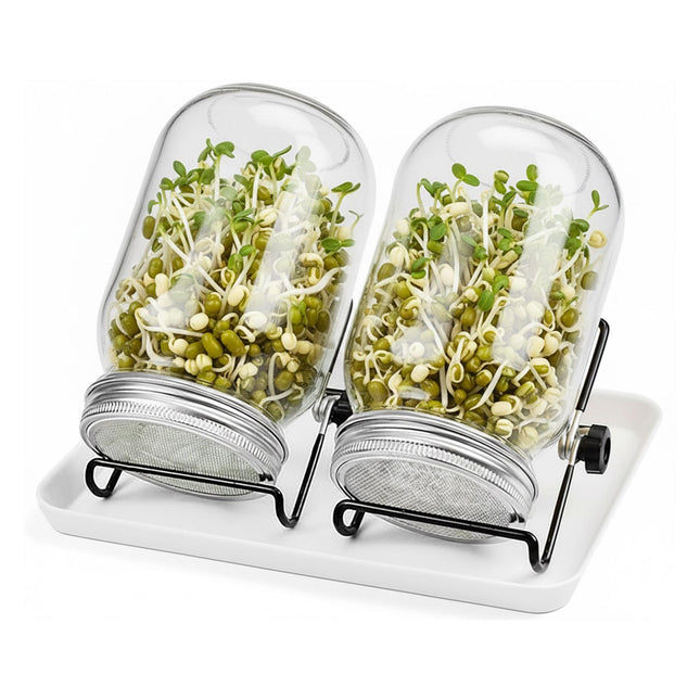 Kit borcan pentru germinare, 2 borcane cu suport și tavă